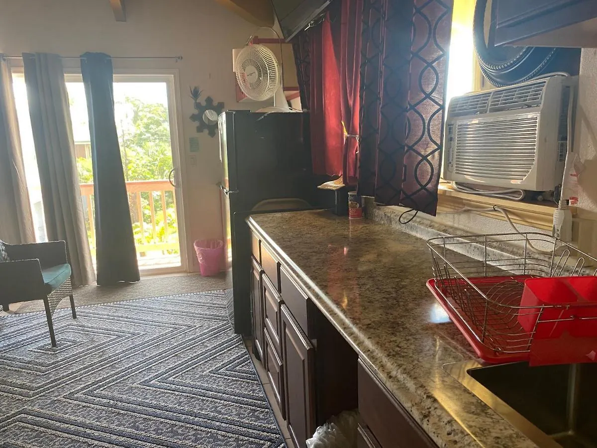 Nice Studio W/ Ac Near Kehena Beach And Lava Fields United States